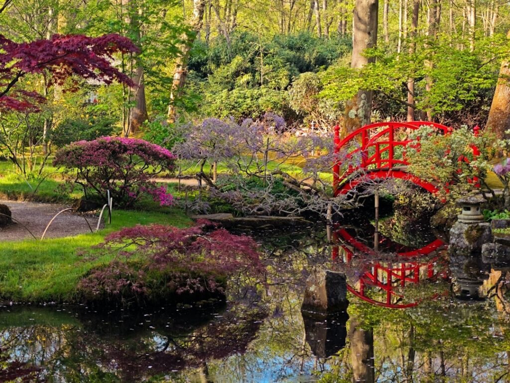 Photo Meditation garden